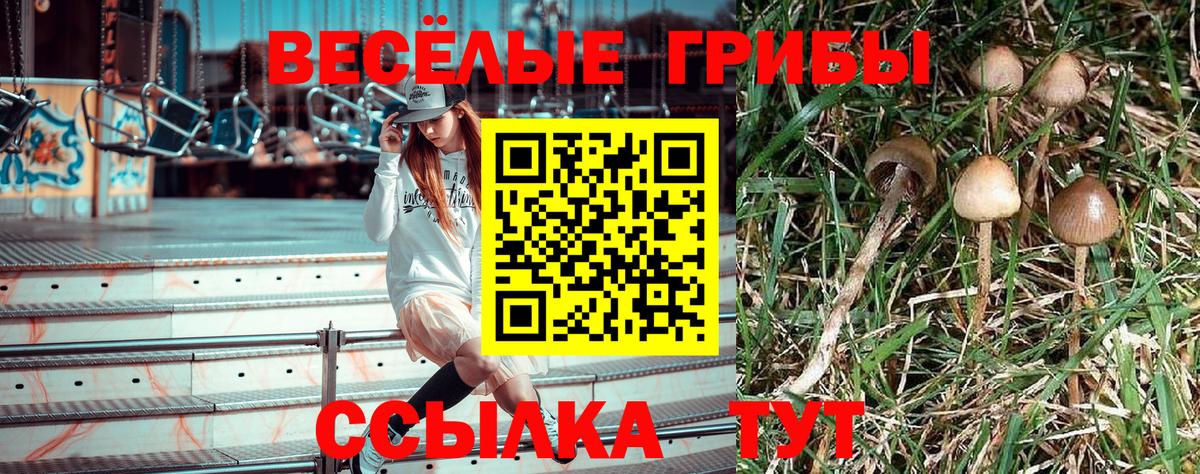 Галлюциногенные грибы мицелий Майский